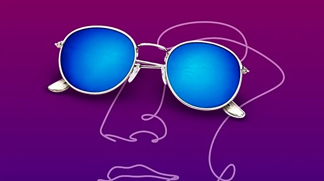 Smart Glasses: Exploring the Capabilities and Limitations of Emerging Technology