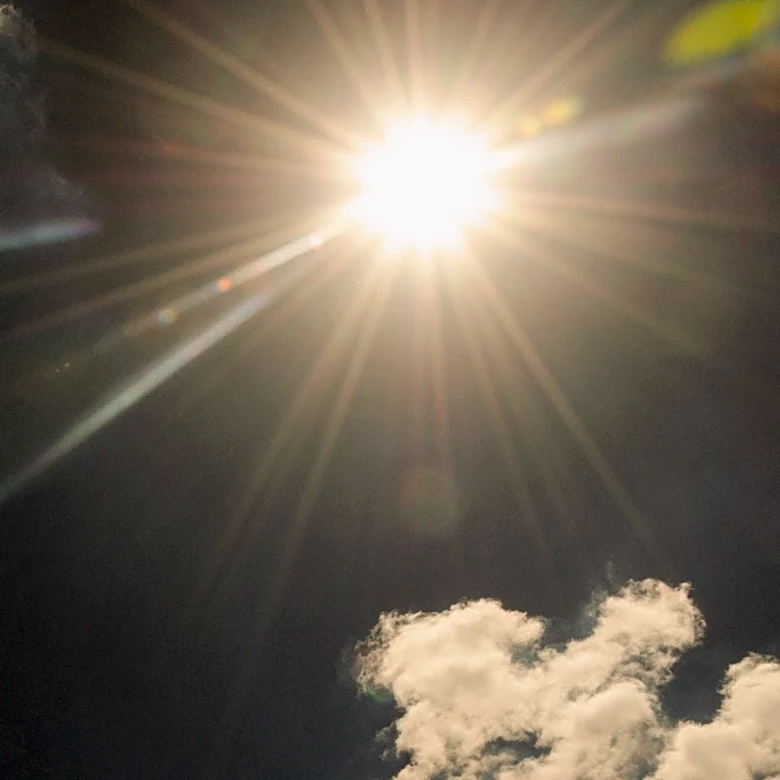 Maryland Weather Forecast: Warm, Humid, and Mostly Dry Conditions Expected