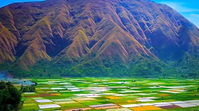 Ministry of Agriculture Plans Increased Budget for Papua to Boost Food Security