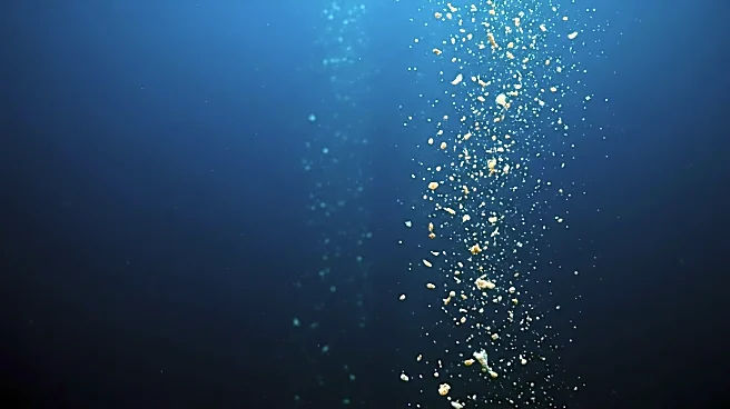 Deep-Sea Microbes Thrive on Unexpected Nutrient Source, Study Finds