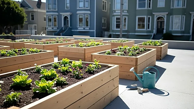 San Francisco Residents Unite for City-Wide Day of Service