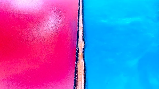 Microorganisms Convert Uranium in Water to Stable Compounds, Offering New Remediation Method