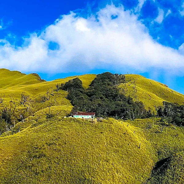 Marin County's King Mountain Reserve Area May Soon Be Publicly Accessible