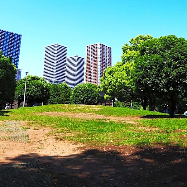 Los Angeles City Hall's Vacant Lot to Become Art Park Amidst Community Backlash