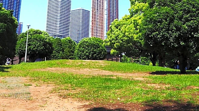 Los Angeles City Hall's Vacant Lot to Become Art Park Amidst Community Backlash