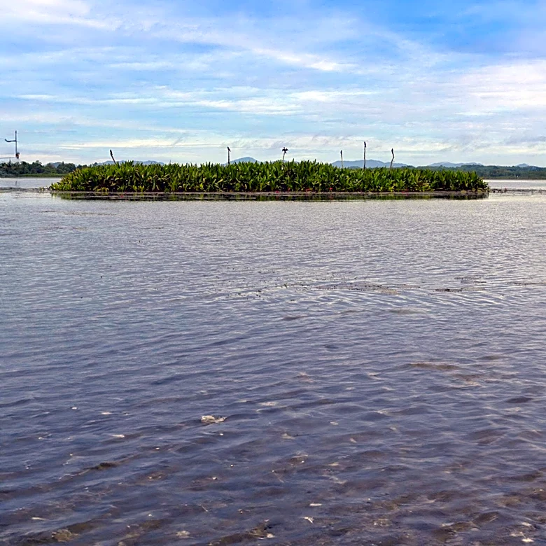 Mississippi Authorities Investigate Death of Teen Nolan Wells on Horn Island