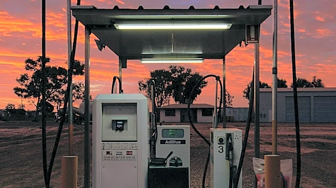 Lyons Filling Station Leverages Troll Exhibit to Boost Business in Clinton, Iowa