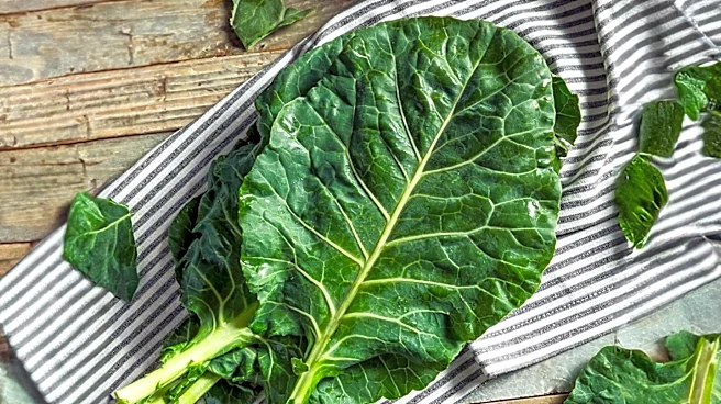 Taco Bell Under Investigation Amid Cyclosporiasis Outbreak Linked to Leafy Greens