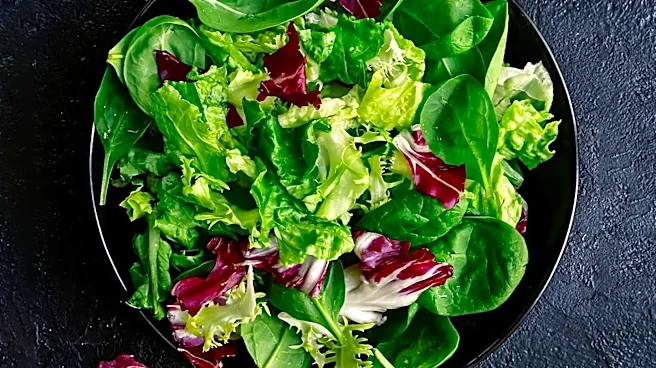 CDC Investigates Cyclosporiasis Outbreak Linked to Salad Greens Across Multiple States