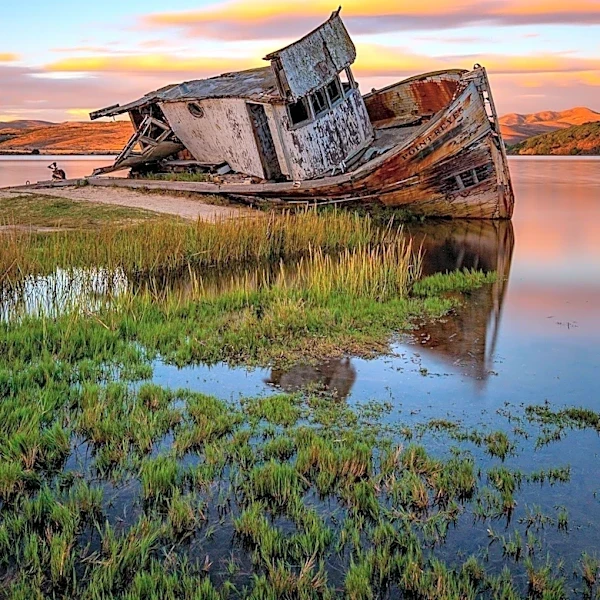 Boat Sinks Near Alcatraz, Resulting in 1 Death and 3 Missing