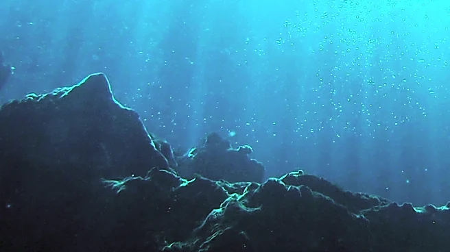 American Startup Seeks Trump Administration Approval for Deep Sea Mining in Pacific
