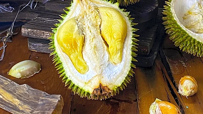 Malaysia Considers Overland Route for Durian Exports to China Amid Supply Glut