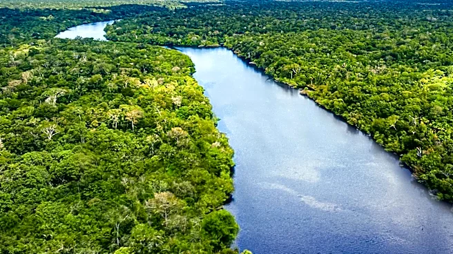 Amazon Deforestation Hits 10-Year Low Amidst Climate Concerns