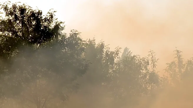 Guidelines for Protecting Against Wildfire Smoke in the US