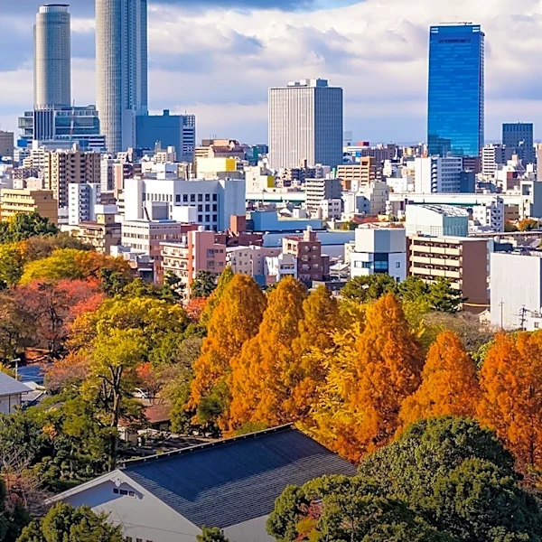 Noetra Initiates Development of Japan's Multimodal AI Model to Enhance Physical AI and Robotics