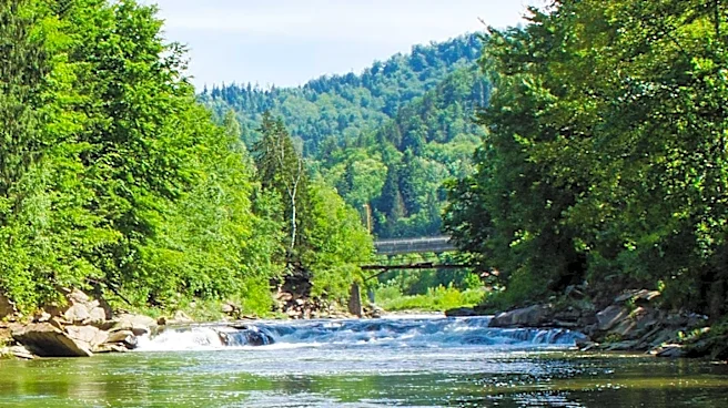 Wild Yough River Celebrates 50th Anniversary with Community Event
