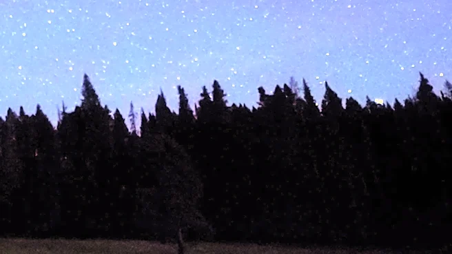 Perseid Meteor Shower Begins: Stargazers Anticipate Peak Viewing Conditions