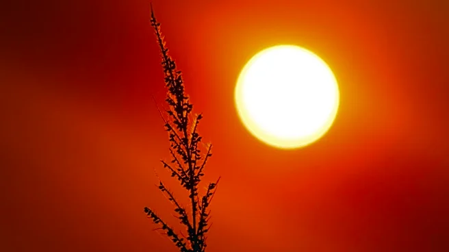 Air Quality Alert Extended in Northern Illinois Due to Wildfire Smoke