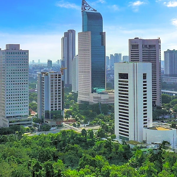 Indonesia's Blue Carbon Workforce Development Crucial for Climate Goals