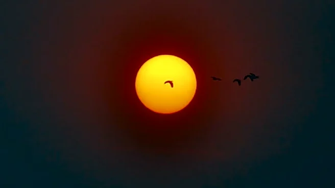 Delaware County Faces Wildlife Concerns Amid Poor Air Quality