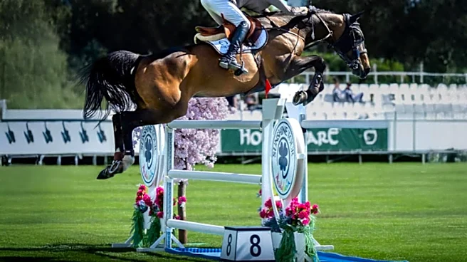 Flintfields Horse Park Hosts International Riders for Traverse City's Signature Summer Weekend