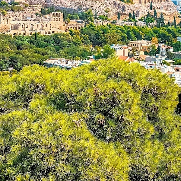 Acropolis Faces Intense Heatwave, Travelers Advised to Take Precautions