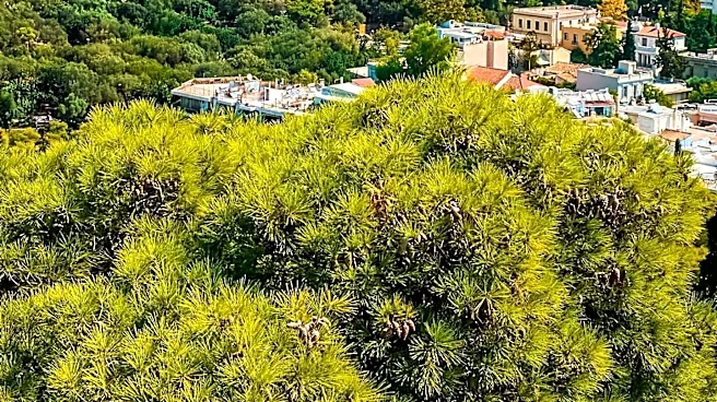 Acropolis Faces Intense Heatwave, Travelers Advised to Take Precautions