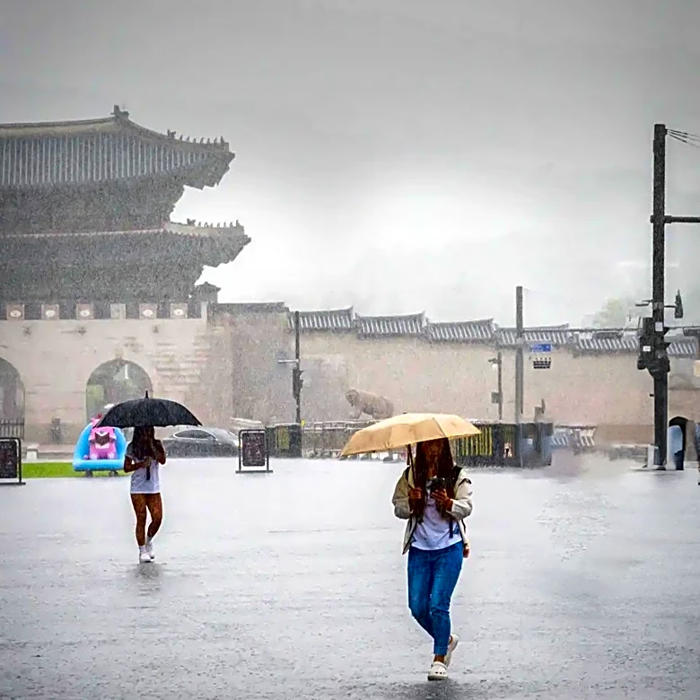 Heavy Rainfall in Seoul Causes Significant Property Damage