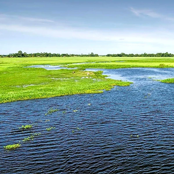 Bozeman Proposes Amendments to Wetlands and Watercourses Regulations Affecting Development