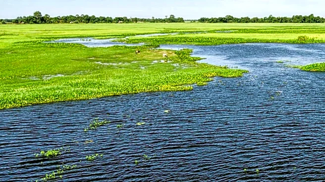 Bozeman Proposes Amendments to Wetlands and Watercourses Regulations Affecting Development