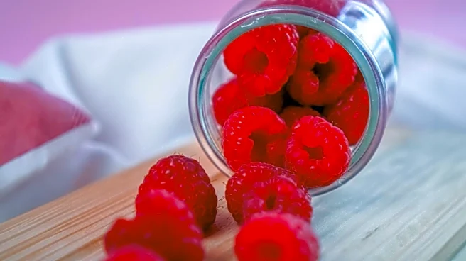 Discovery of Raspberry Sugar in Space Fuels Speculation on Extraterrestrial Life