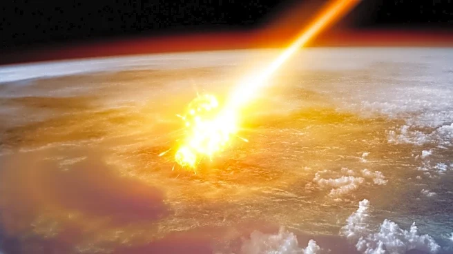 Scientists Identify Rare Meteorite as Cause of Dinosaur Extinction