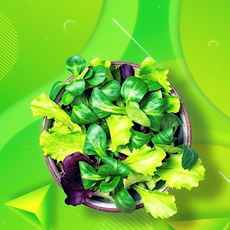 Cyclosporiasis Outbreak Linked to Lettuce Sickens Over 6,700 Across U.S.