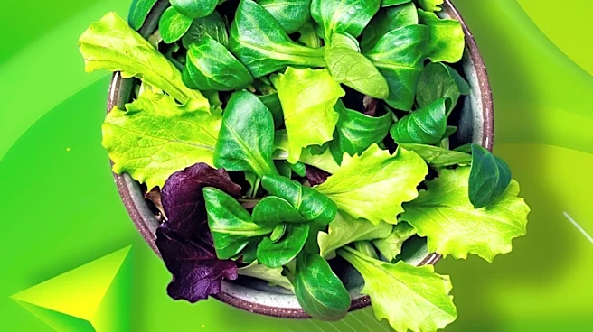 Cyclosporiasis Outbreak Linked to Lettuce Sickens Over 6,700 Across U.S.