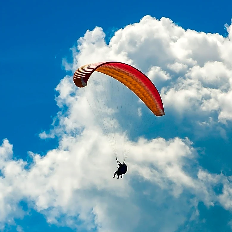 Israeli Paraglider Works to Save Migrating Swifts Nesting in Western Wall