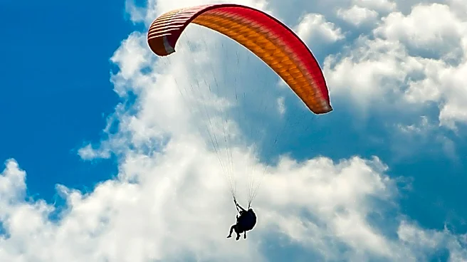 Israeli Paraglider Works to Save Migrating Swifts Nesting in Western Wall
