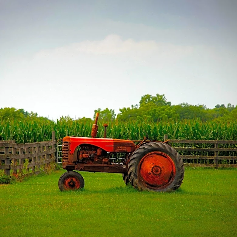 Jefferson County Farm Hosts Educational Brunch Event to Highlight Agriculture's Importance