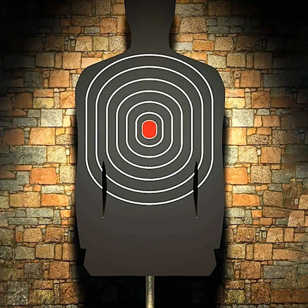 Tucson Mass Shooting Sparks Political Divide Over Gun Laws