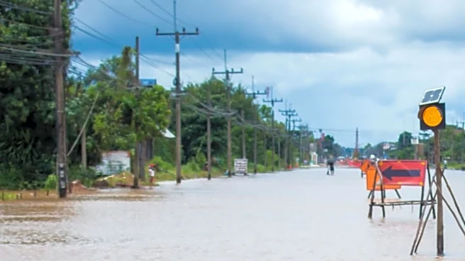 Severe Flooding in Chattogram Causes Major Losses in Agriculture and Fisheries