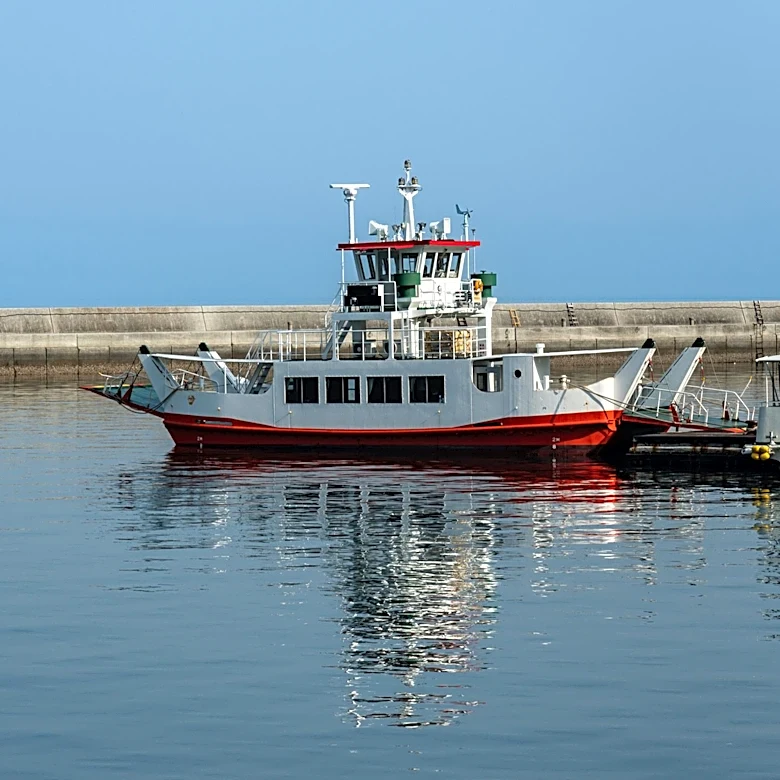 Guyana Ferry Capsizes, Leaving Dozens Missing Amid Search Efforts