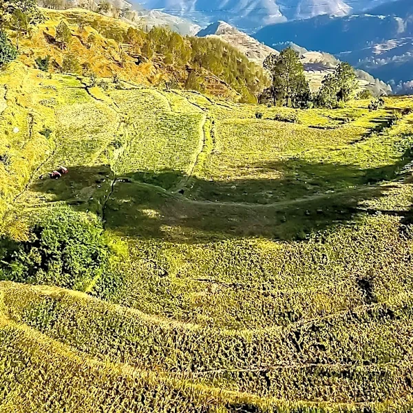 Nepal Launches Agriculture-Food System Strengthening Project with Chinese Support