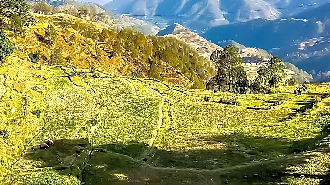 Nepal Launches Agriculture-Food System Strengthening Project with Chinese Support