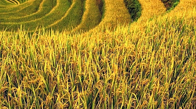 Suind Secures $2.2 Million Funding to Expand Agriculture Drone Technology
