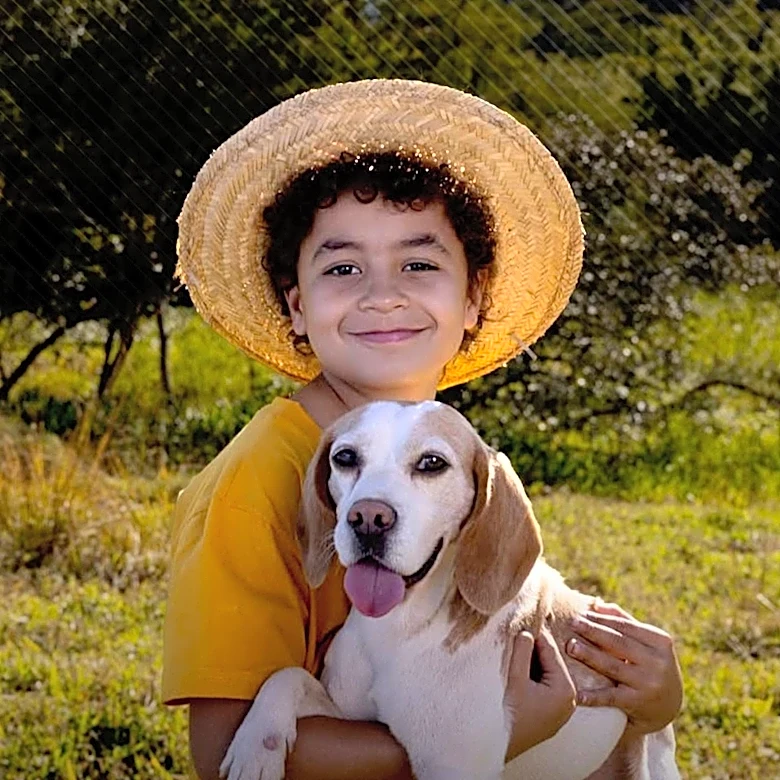 Ontario County Implements Public Animal Abuse Registry to Curb Animal Cruelty