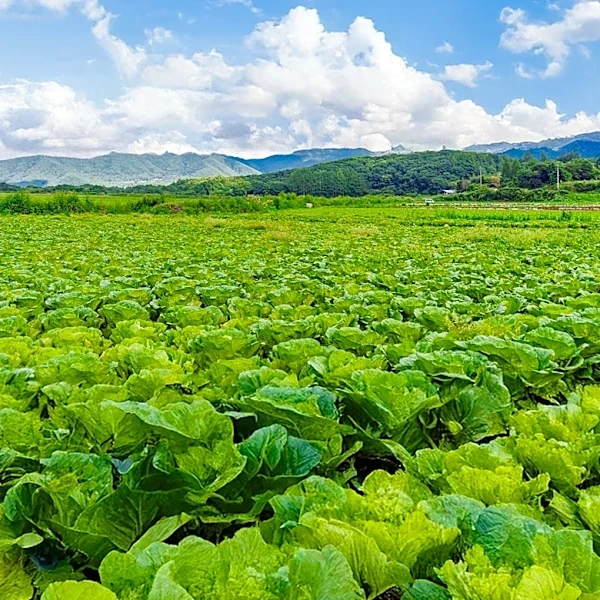 New Agricultural Exhibit 'imAGine Ag' Debuts at Ohio State Fair