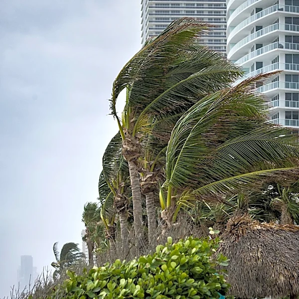 Tropical Storm Bertha Forms Along U.S. Gulf Coast, Threatening Heavy Rain and Winds
