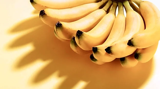 Yellow Banana to Close Six Save A Lot Stores in Chicago Amid Financial Struggles
