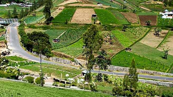 Early American Turnpikes Revolutionized Agricultural Markets
