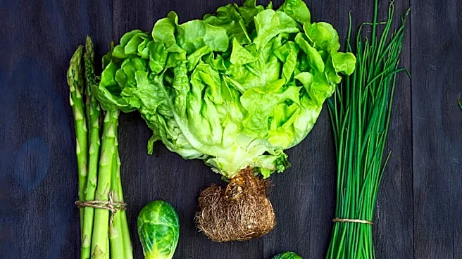 North Carolina Health Officials Investigate Over 500 Cyclosporiasis Cases Amid Lettuce Recall