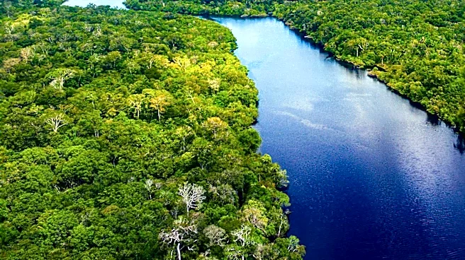 Inditex Invests 6.5 Million Euros in Amazon Rainforest Protection Initiative